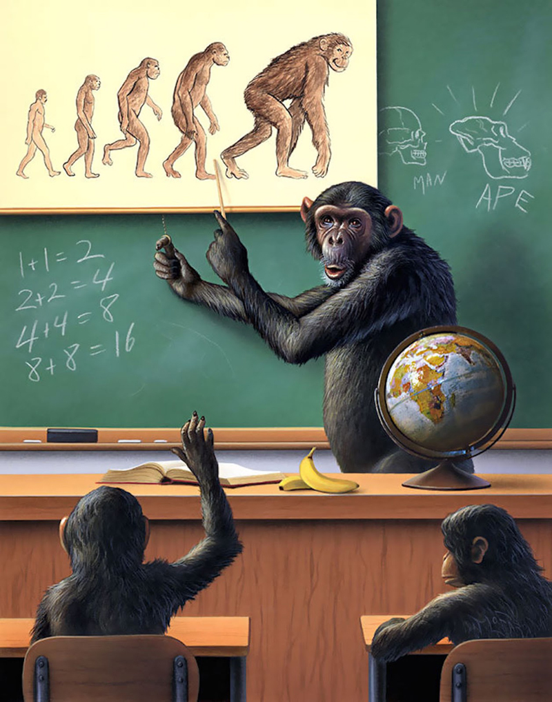 карикатура обезьяны изучают теорию эволюции