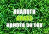 аналоги grass